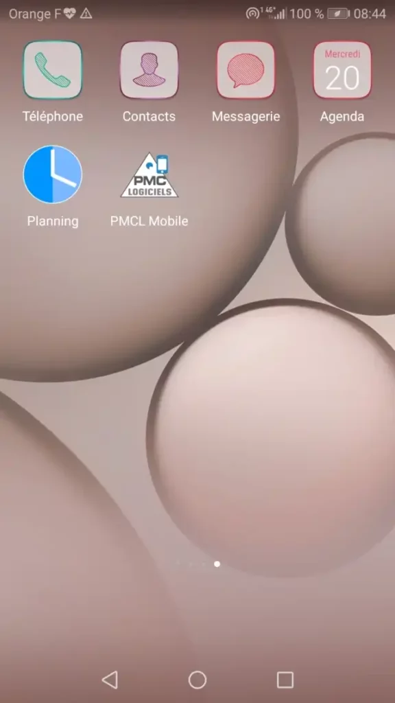 Icône application sur écran d'accueil