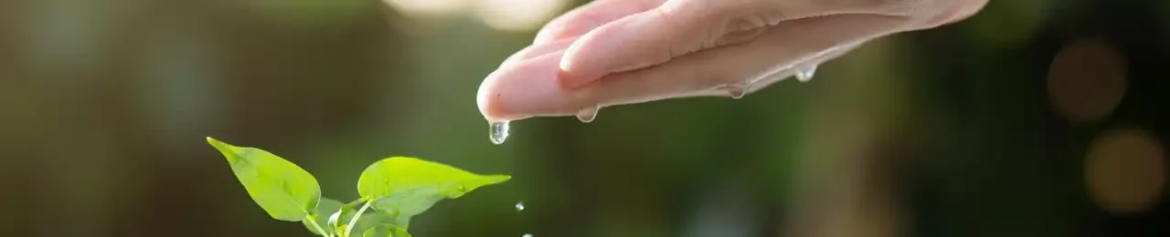 Entreprise éco-responsable